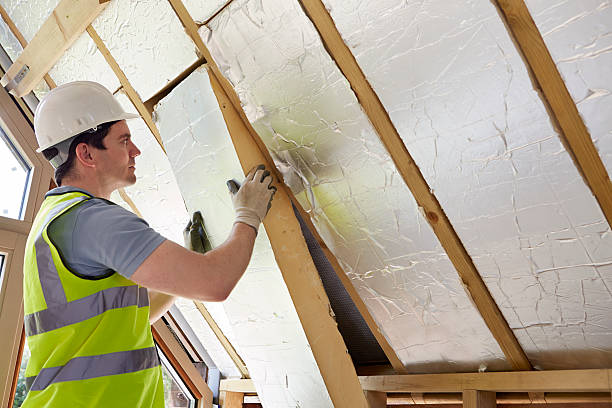 Best Residential Insulation in South Lockport, NY